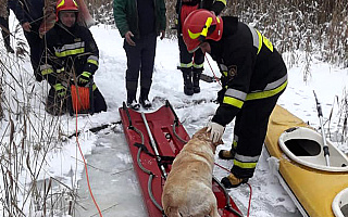 Pod psem załamał się lód. Strażacy z Orzysza ruszyli na pomoc